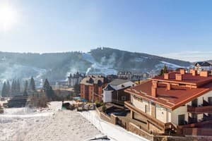 Зеленый бор 5