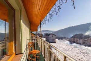 Зеленый бор 11