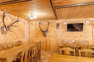 Зеленый бор 13