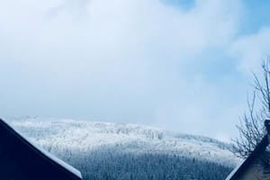 Зима-Лето 17