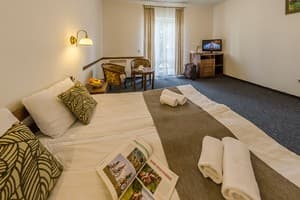 Апарт-отель ZimaSnow Ski & Spa. Люкс 4-местный с видом на горы 2