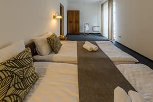 Апарт-отель ZimaSnow Ski & Spa. Люкс 4-местный с видом на горы 4