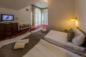 Апарт-отель ZimaSnow Ski & Spa. Люкс 4-местный с видом на горы 5