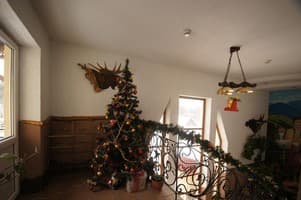 Зірка Карпат 5