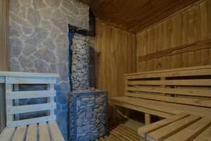 Зірка Карпат 10