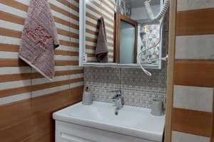 Золота Рибка 12