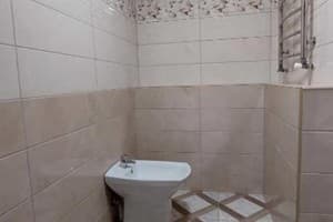 Золота Рибка 13