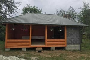 Золота Рибка 10