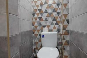 Золота Рибка 8