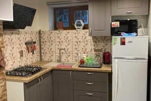 Золота Рибка 7