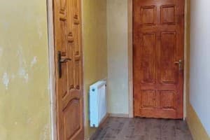 Золота Рибка 16