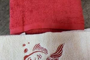 Золота Рибка 17