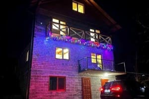 Золота Рибка 19