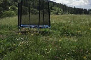 Золота Рибка 22