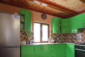 Золота Рибка 19