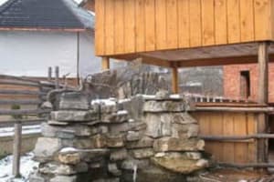 Золота рибка 6