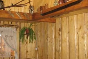 Золота рибка 4