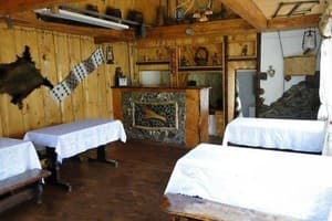 Золота рибка 5