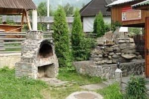 Золота рибка 9