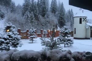 Шале Золотая Подкова