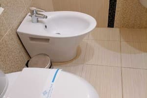 Золотая Подкова 3