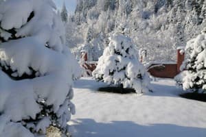 Золотая Подкова 26