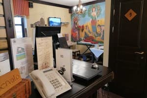 Золотая Подкова 31