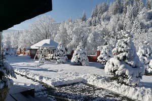 Золотая Подкова 34