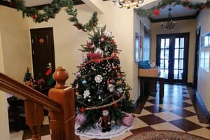 Золотая Подкова 30