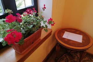 Золотая Подкова 33