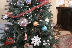 Золотая Подкова 15