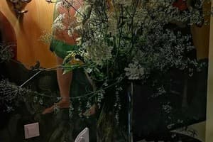 Золотая Подкова 6