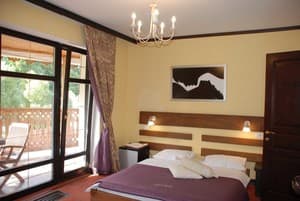 Золотая Подкова 37