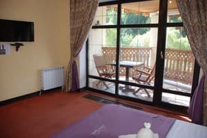 Золотая Подкова 46