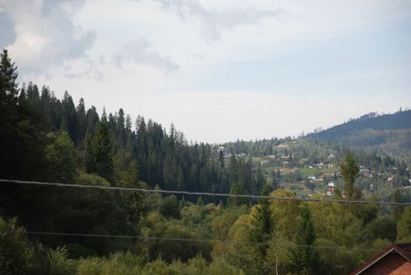 Золотая Подкова 38