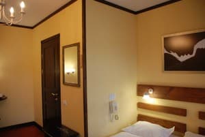 Золотая Подкова 45