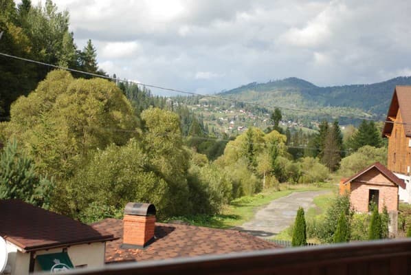 Золотая Подкова 43