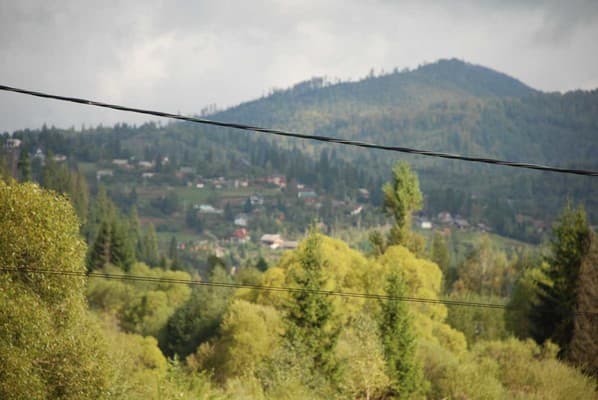 Золотая Подкова 49