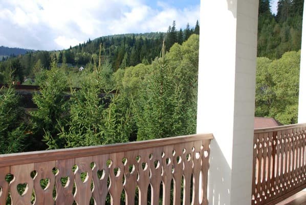 Золотая Подкова 54