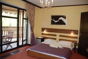 Шале Золотая Подкова. Люкс двухместный 22 с террасой вид на реку и лес 6