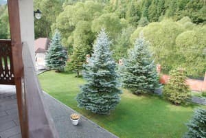 Шале Золотая Подкова. Люкс двухместный 22 с террасой вид на реку и лес 13