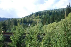 Шале Золотая Подкова. Люкс двухместный 22 с террасой вид на реку и лес 15