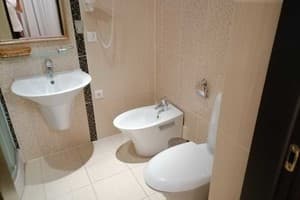 Шале Золотая Подкова. Шале 9-местный Chalet Zolota Pidkova& River 2