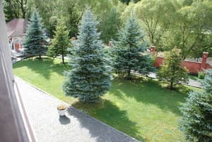 Шале Золотая Подкова. Шале 9-местный Chalet Zolota Pidkova& River 11