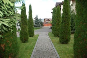 Шале Золотая Подкова. Шале 9-местный Chalet Zolota Pidkova& River 28