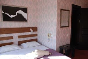 Шале Золотая Подкова. Стандарт двухместный с террасой 21.23 4