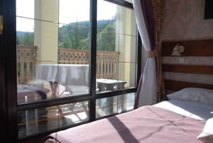 Шале Золотая Подкова. Стандарт двухместный с террасой 21.23 6