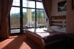 Шале Золотая Подкова. Стандарт двухместный с террасой 21.23 7