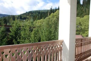 Шале Золотая Подкова. Стандарт двухместный с террасой 21.23 15