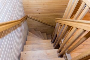 Золотая Рыбка 1